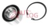 AUTLOG RS1110 Wheel Bearing Kit